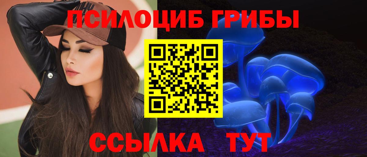 Петропавловск-Камчатский  где можно купить   Псилоцибиновые грибы Magic Shrooms  Вход с VPN  Псилоцибиновые грибы прущие грибы 